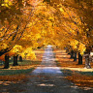 Meet your Posher, Brent